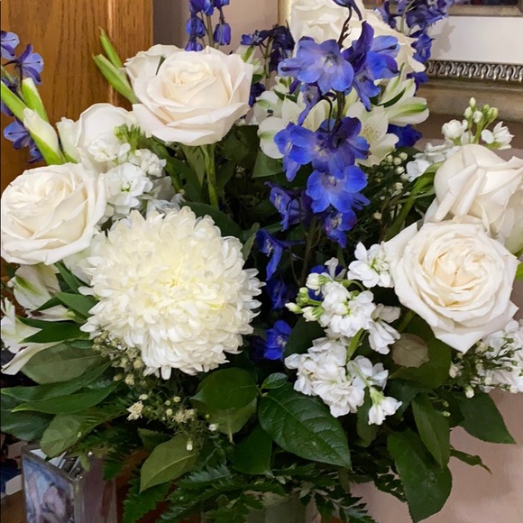 Meet your Posher, Joyce - Picture 1 of 1